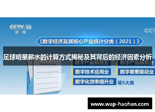 足球明星薪水的计算方式揭秘及其背后的经济因素分析