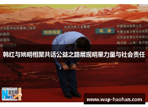 韩红与姚明相聚共话公益之路展现明星力量与社会责任