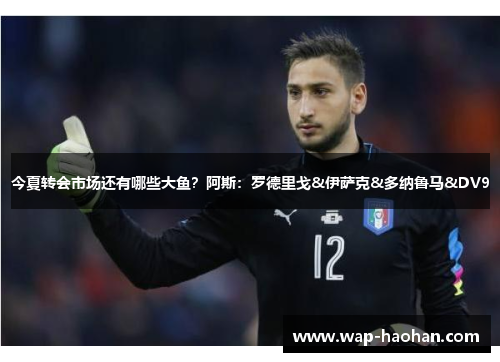 今夏转会市场还有哪些大鱼?阿斯:罗德里戈&伊萨克&多纳鲁马&DV9 今夏转会市场还有哪些大鱼?阿斯:罗德里戈&伊萨克&多纳鲁马&DV9