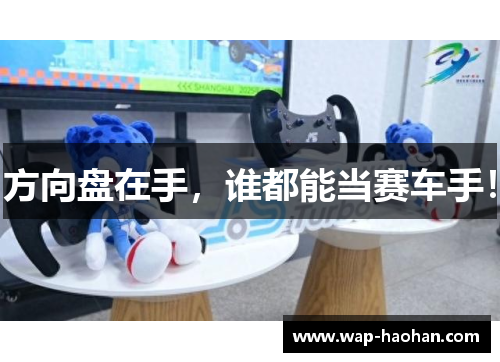 方向盘在手,谁都能当赛车手! 方向盘在手,谁都能当赛车手!