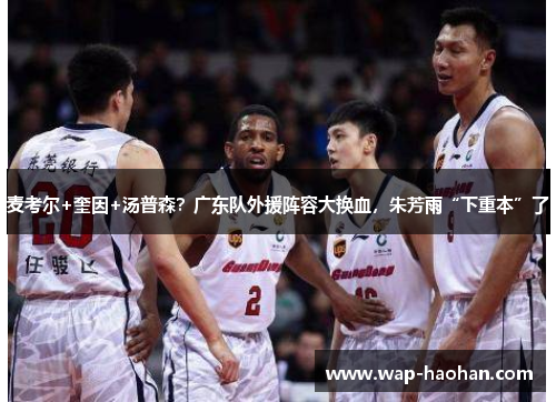 麦考尔+奎因+汤普森？广东队外援阵容大换血，朱芳雨“下重本”了