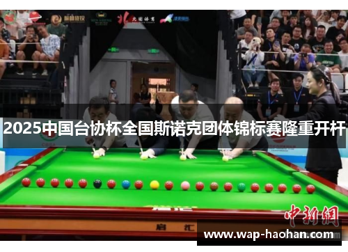 2025中国台协杯全国斯诺克团体锦标赛隆重开杆