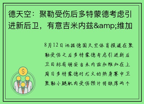 德天空：聚勒受伤后多特蒙德考虑引进新后卫，有意吉米内兹&维加
